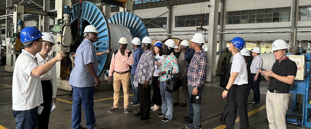 Cina il la cosa migliore Cavi elettrici sopraelevati sulle vendite