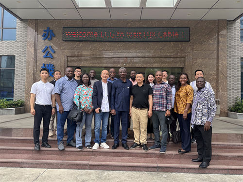 Ultime notizie aziendali su Il vicedirettore dell'Autorità elettrica del Ghana e della Ghana Electricity Company (ECG) visitano Dongjiaxin