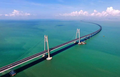 Ultime notizie aziendali su I cavi di DJX accende il ponte di HONG KONG-ZHUHAI-MACAO